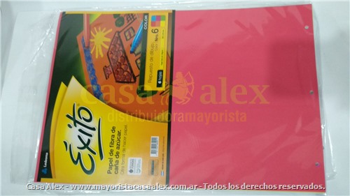 PAPEL CANSON N§6 COLOR EXITO 6HJS BUL 100